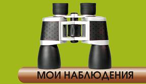мои очерки